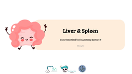 Liver & Spleen