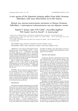 A New Species of the Hisponine Jumping Spiders from India (Araneae: Salticidae), with Some Observations on Its Life History