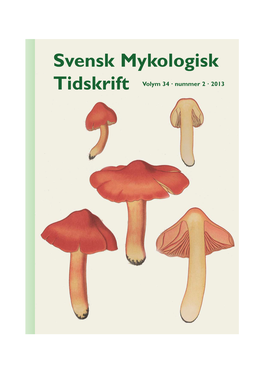 Inocybe Erubescens