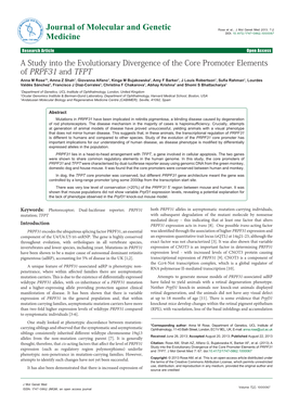 A Study Into the Evolutionary Divergence of the Core Promoter