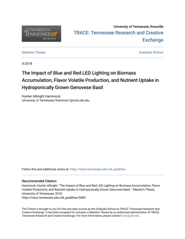 The Impact of Blue and Red LED Lighting on Biomass Accumulation, Flavor Volatile Production, and Nutrient Uptake in Hydroponically Grown Genovese Basil