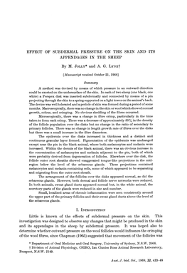 Effect of Subdermal Pressure on the Skin and Its Appendages in the Sheep