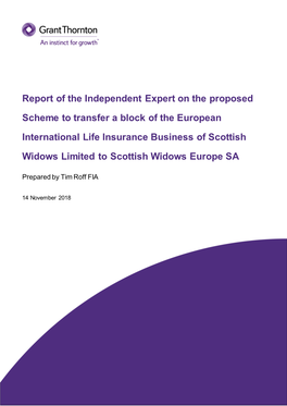 Report of the Independent Expert on the Proposed Scheme to Transfer A