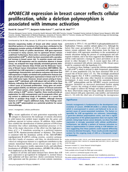 APOBEC3B Expression in Breast Cancer Reflects Cellular Proliferation, While a Deletion Polymorphism Is Associated with Immune Activation