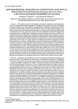 Size Dimorphism, Intrasexual Competition, and Sexual Selection in Wattled Jacana (Jacana Jacana), a Sex-Role-Reversed Shorebird in Panama Stephen T