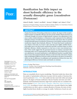 Ramification Has Little Impact on Shoot Hydraulic Efficiency in the Sexually Dimorphic Genus Leucadendron (Proteaceae)