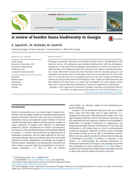 A Review of Benthic Fauna Biodiversity in Georgia