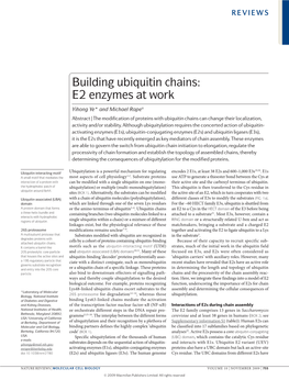 Building Ubiquitin Chains: E2 Enzymes at Work