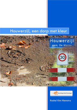 Houwerzijl, Een Dorp Met Kleur