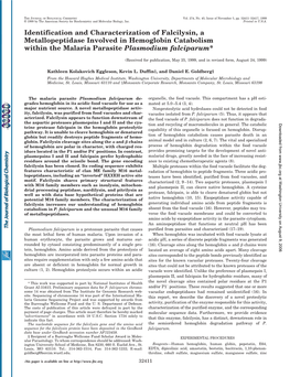 Identification and Characterization of Falcilysin, a Metallopeptidase Involved in Hemoglobin Catabolism Within the Malaria Parasite Plasmodium Falciparum*