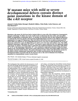 W Mutant Mice with Mild Or Severe Developmental Defects Contain Distinct Point Mutations in the Kinase Domain of the C-K T Receptor