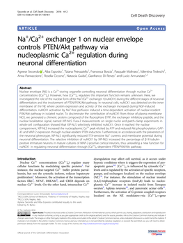 Na+/Ca2+ Exchanger 1 on Nuclear Envelope Controls PTEN/Akt Pathway Via Nucleoplasmic Ca2+ Regulation During Neuronal Differentia