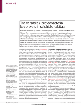 The Versatile Ε-Proteobacteria: Key Players in Sulphidic Habitats