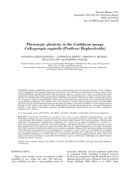 Phenotypic Plasticity in the Caribbean Sponge Callyspongia Vaginalis (Porifera: Haplosclerida)