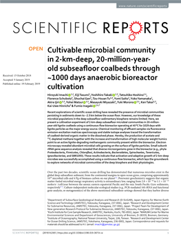 Cultivable Microbial Community in 2-Km-Deep, 20-Million-Year