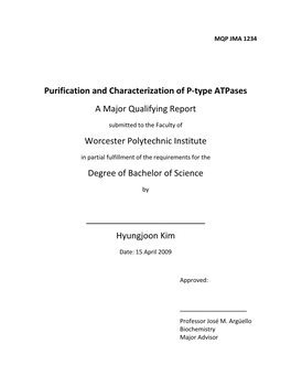 Purification and Characterization of P-Type Atpases a Major Qualifying Report Worcester Polytechnic Institute Degree of Bachelo