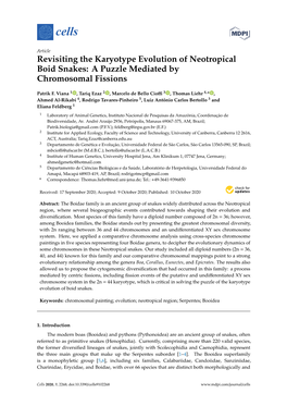 Revisiting the Karyotype Evolution of Neotropical Boid Snakes: a Puzzle Mediated by Chromosomal Fissions