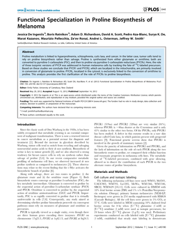 Functional Specialization in Proline Biosynthesis of Melanoma