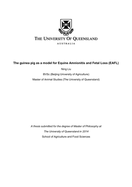 The Guinea Pig As a Model for Equine Amnionitis and Fetal Loss (EAFL)