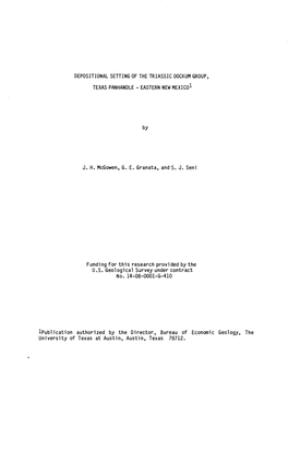 Depositional Setting of the Triassic Dockum Group, Texas Panhandle