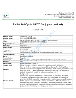 Rabbit Anti-Cyclin C/FITC Conjugated Antibody-SL0282R-FITC