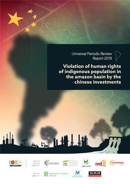 Violation of Human Rights of Indigenous Population in the Amazon Basin by the Chinese Investments