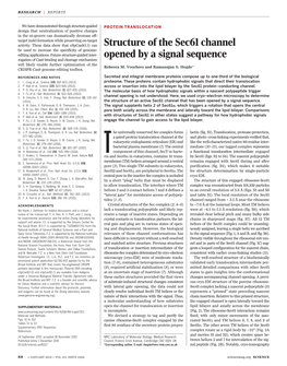 Structure of the Sec61 Channel Opened by a Signal Sequence