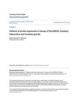 Patterns of Protein Expression in Tissues of the Killifish, Fundulus Heteroclitus and Fundulus Grandis