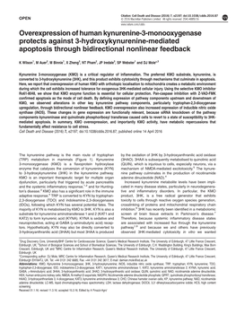 Overexpression of Human Kynurenine-3-Monooxygenase Protects Against 3-Hydroxykynurenine-Mediated Apoptosis Through Bidirectional Nonlinear Feedback