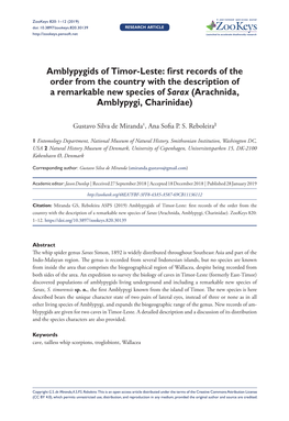 Amblypygids of Timor-Leste: First Records of the Order from the Country