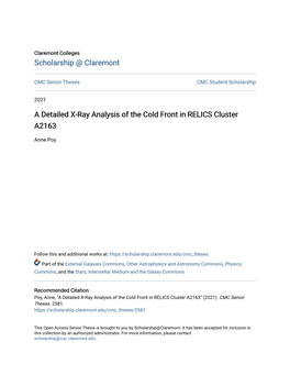 A Detailed X-Ray Analysis of the Cold Front in RELICS Cluster A2163