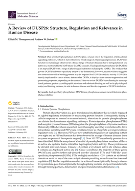 A Review of DUSP26: Structure, Regulation and Relevance in Human Disease