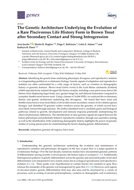 The Genetic Architecture Underlying the Evolution of a Rare Piscivorous Life History Form in Brown Trout After Secondary Contact and Strong Introgression