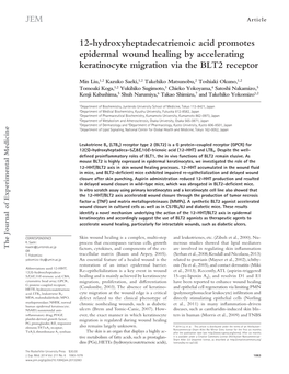 12-Hydroxyheptadecatrienoic Acid Promotes Epidermal Wound Healing by Accelerating Keratinocyte Migration Via the BLT2 Receptor