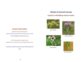 A Guide to Identifying Noxious Weeds