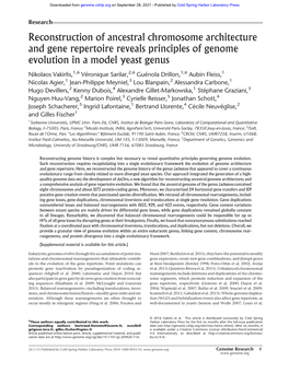 Reconstruction of Ancestral Chromosome Architecture and Gene Repertoire Reveals Principles of Genome Evolution in a Model Yeast Genus