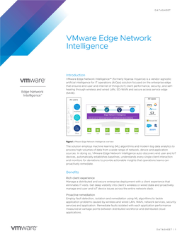 Vmware Edge Network Intelligence