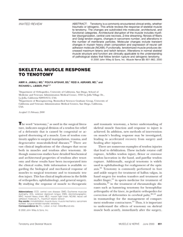 Skeletal Muscle Response to Tenotomy