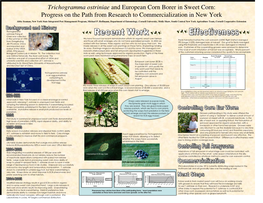 Trichogramma Ostriniae and European Corn Borer in Sweet