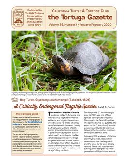 The Tortuga Gazette and Education Since 1964 Volume 56, Number 1 • January/February 2020