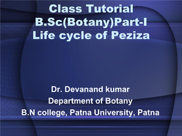 Part-I Life Cycle of Peziza