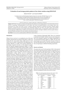 Evaluation of Seed Storage Protein Patterns of Ten Wheat Varieties Using SDS-PAGE