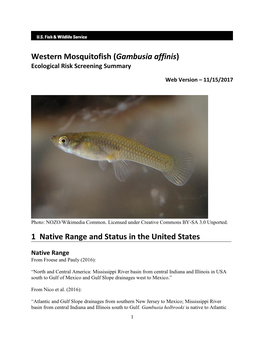 Western Mosquitofish (Gambusia Affinis) Ecological Risk Screening Summary