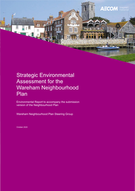 Strategic Environmental Assessment for the Wareham Neighbourhood Plan