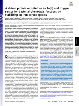 A Di-Iron Protein Recruited As an Fe[II] and Oxygen Sensor for Bacterial Chemotaxis Functions by Stabilizing an Iron-Peroxy Species