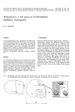 Reliquiaecava, a New Genus of Coralliophilidae (Mollusca, Gastropoda)