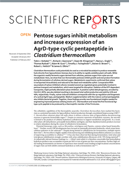 Pentose Sugars Inhibit Metabolism and Increase Expression of an Agrd