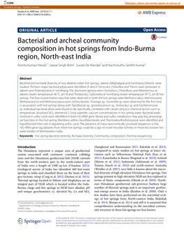 Bacterial and Archeal Community Composition in Hot Springs from Indo-Burma Region, North-East India