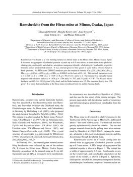 Ramsbeckite from the Hirao Mine at Minoo, Osaka, Japan