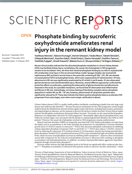 Phosphate Binding by Sucroferric Oxyhydroxide Ameliorates Renal